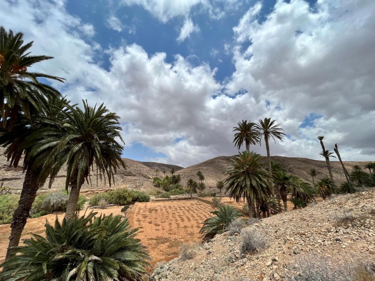 Las Torres Del Castillo, 108Cactus Costa De Antigua Zewnętrze zdjęcie